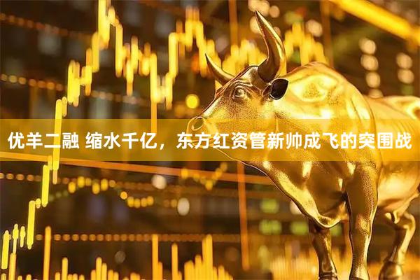 优羊二融 缩水千亿，东方红资管新帅成飞的突围战