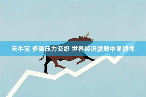 天牛宝 多重压力交织 世界经济脆弱中显韧性