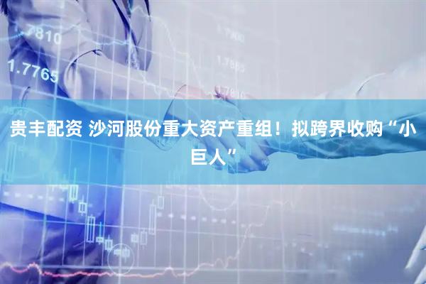 贵丰配资 沙河股份重大资产重组！拟跨界收购“小巨人”
